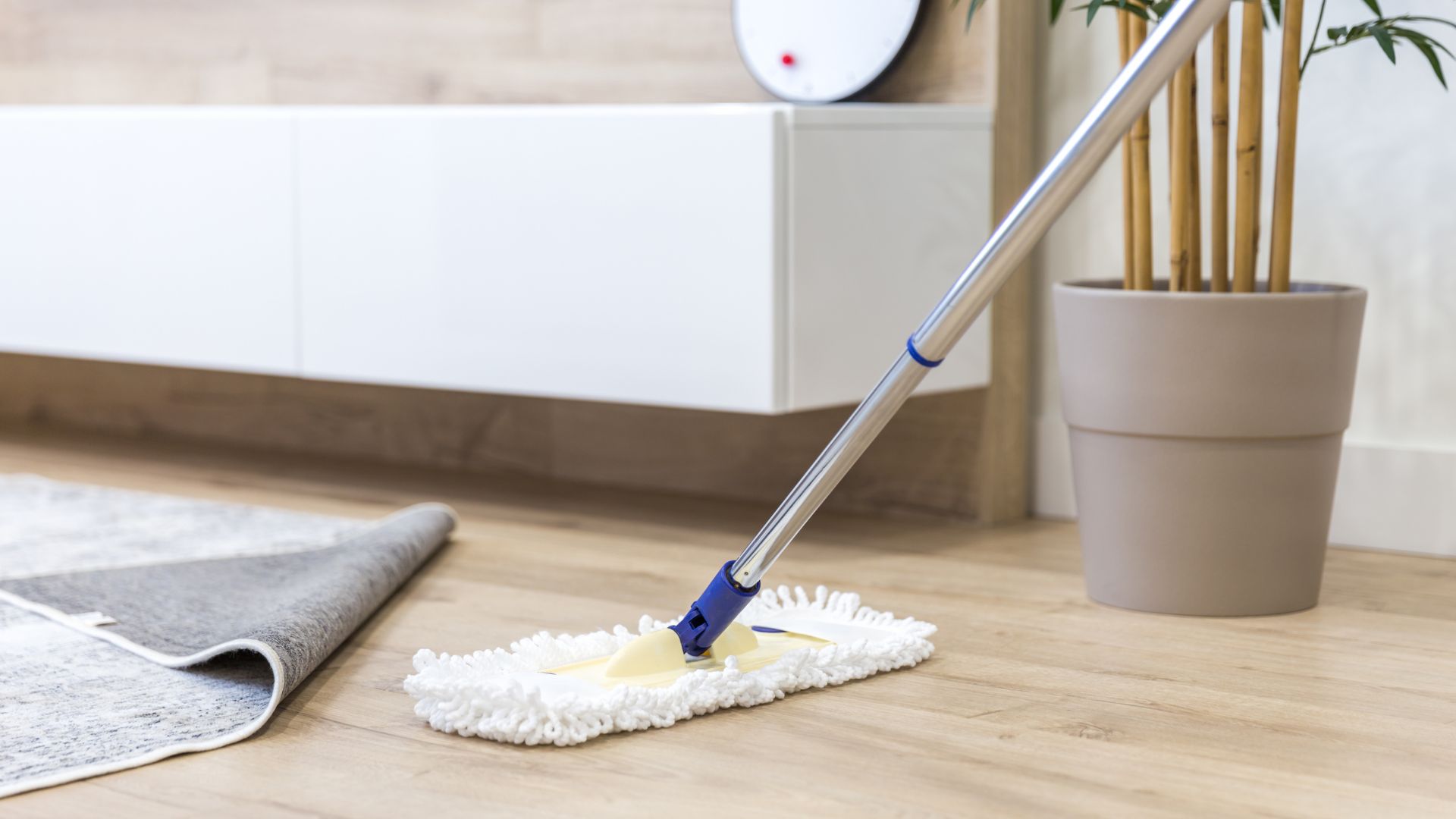 Flat mop cleaning wooden floor near white cabinet and potted plant