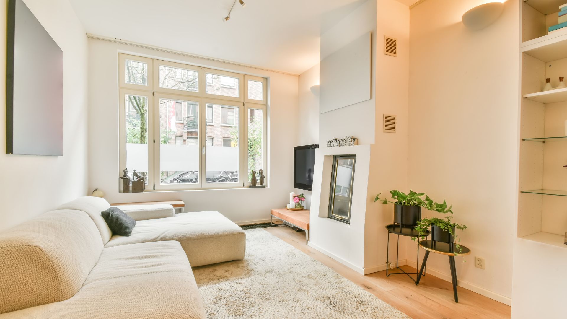Bright living room with white sofa, plants, and large windows